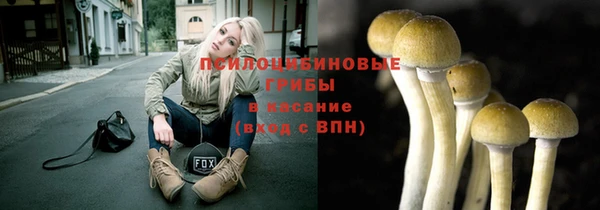 не бодяженный Ладушкин