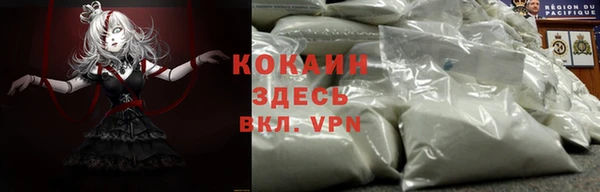 не бодяженный Ладушкин