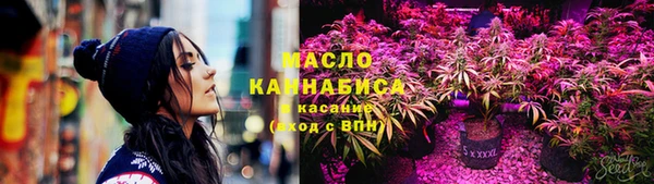 соль ск Бердск