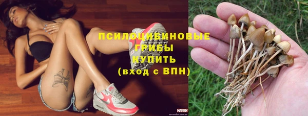 соль ск Лабытнанги
