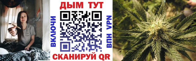 Конопля планчик  Ахтырский 